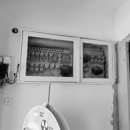 catcau-15