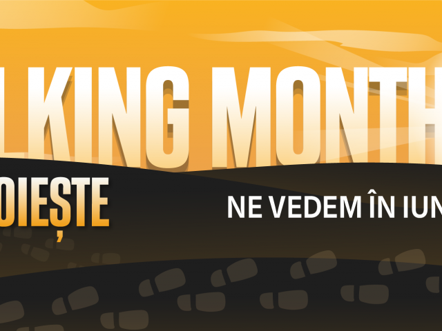 site banner 2